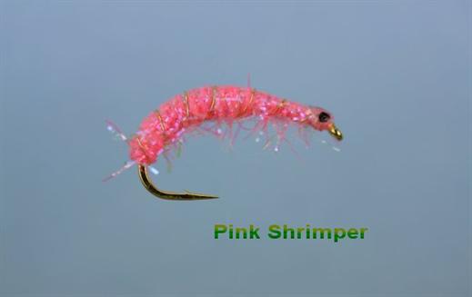 Hot Pink Shrimper