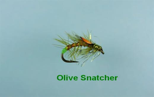Olive Snatcher 