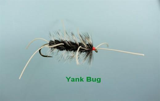 Yank Bug