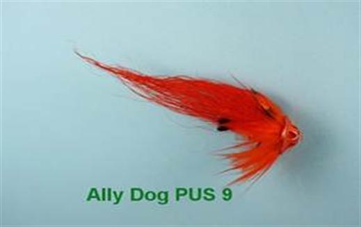 Ally Dog PUS 9
