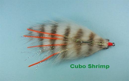 Cubo Shrimp