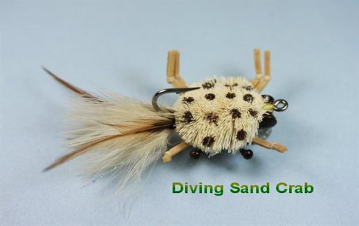 Diving Sand Crab