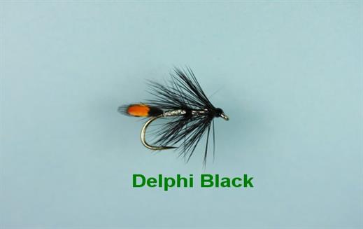 Delphi Black