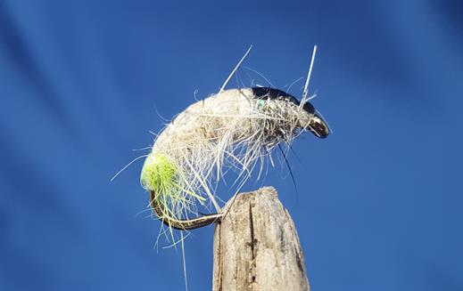 Czech Lime Spot Bug