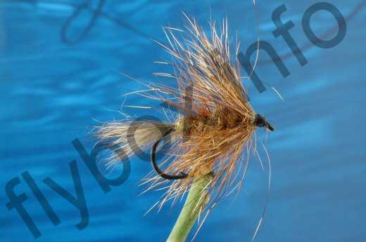 Hairy March Brown
