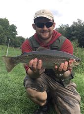 3lb7 rainbow
