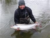 27 lb Avon springer