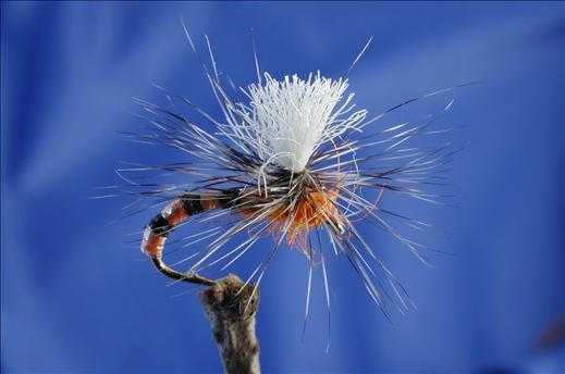 Morgans Parachute Buzzer, Orange