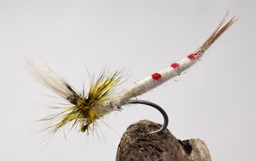 Mayfly Para