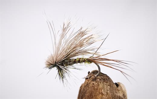 Colorado Green Drake Hairwing Dun