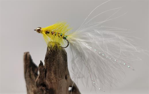 Yellow Dancer Fly