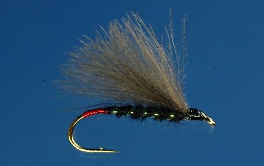Black F Wing 