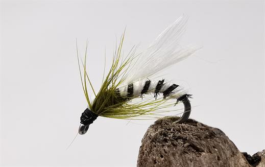 Olive Adult Buzzer