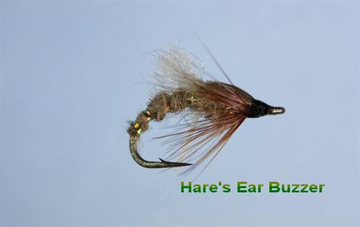 Hares Ear Adult Buzzer