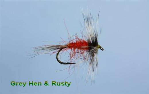 Grey Hen and Rusty