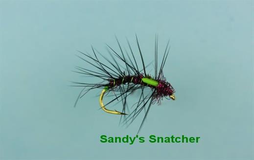 Sandy Snatcher