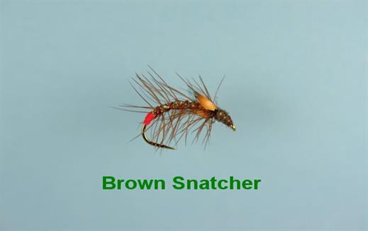 Brown Snatcher JC