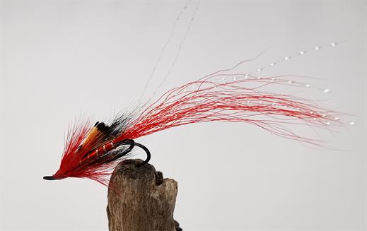 Allys Shrimp Red