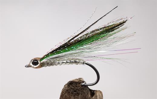 Sea Streamer Sardine