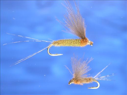 CDC Mayfly