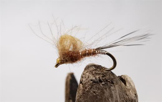 Golden CDC Emerger