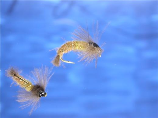 Caddis CDC Larva