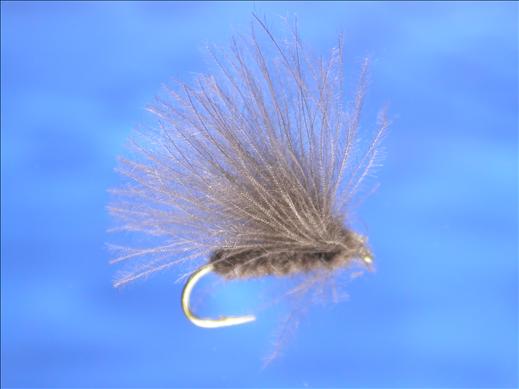 Grey CDC Caddis Fly