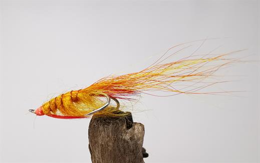 Polar Shrimp Orange and Yellow