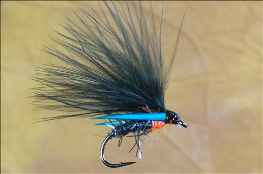 UV Straggle Kingfisher Cormorant