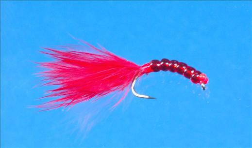 Beadie Bloodworm Fly - Fishing Flies with Fish4Flies UK