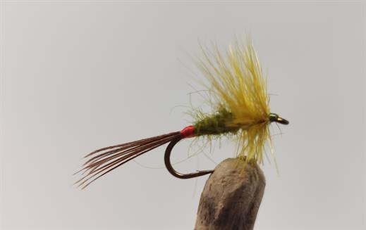 Mosley Mayfly