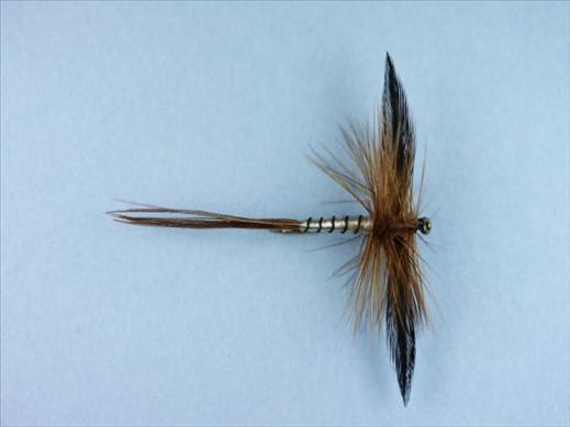 Spent Brown Mayfly