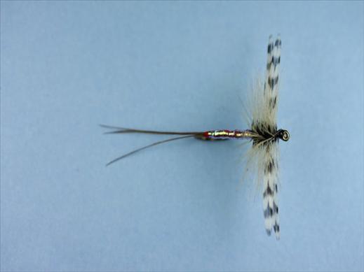 Mirage Spent Male Mayfly