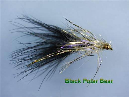 UV Polar Bear Black