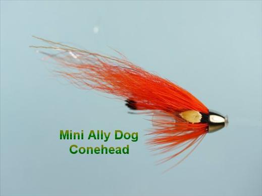 Mini Ally Dog Conehead