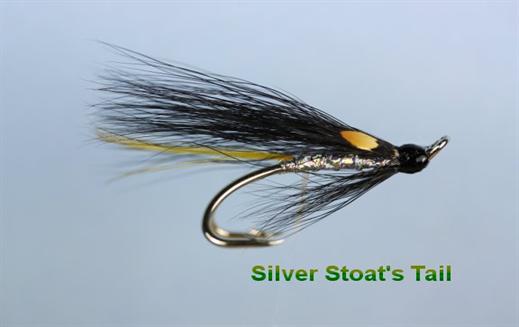 Silver Stoats Tail JC