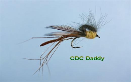 CDC Daddy