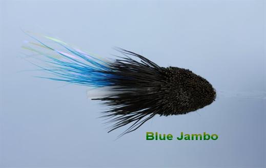 Blue Jambo Wake Fly