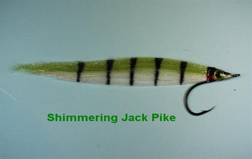 Shimmering Perch