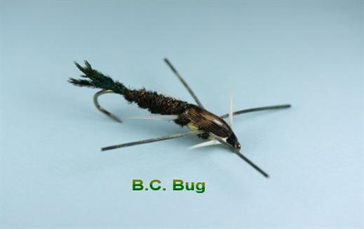 BC Bug