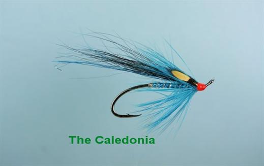 The Caledonia