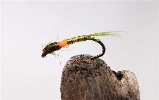 Olive Quill Orange FB Buzzer