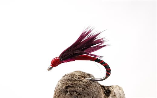 S-Film Claret Emerger Buzzer