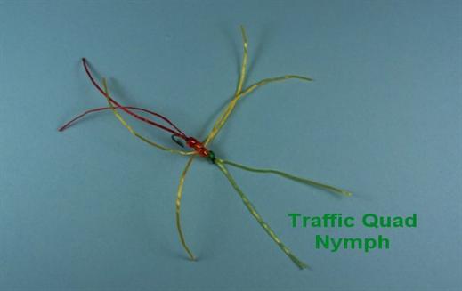 Traffic Quad Nymph