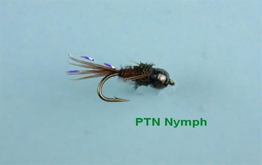 Pheasant Tail Tungsten Nymph