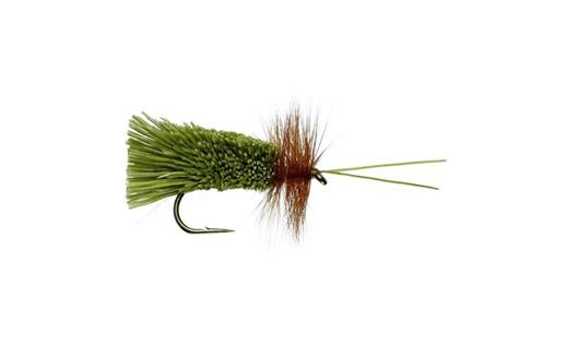 Olive G & H Sedge