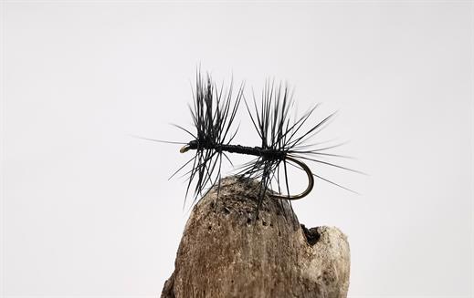 Knotted Midge