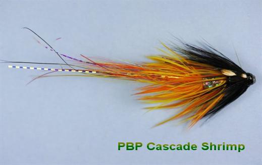 Cascade Shrimp JC PBP