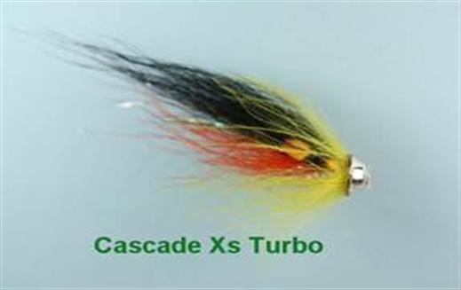 Cascade Xs Turbo