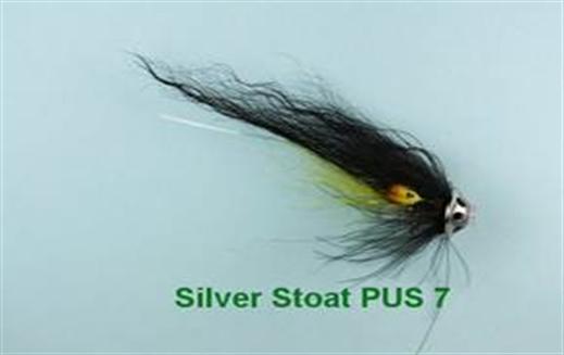 Silver Stoat PUS 7